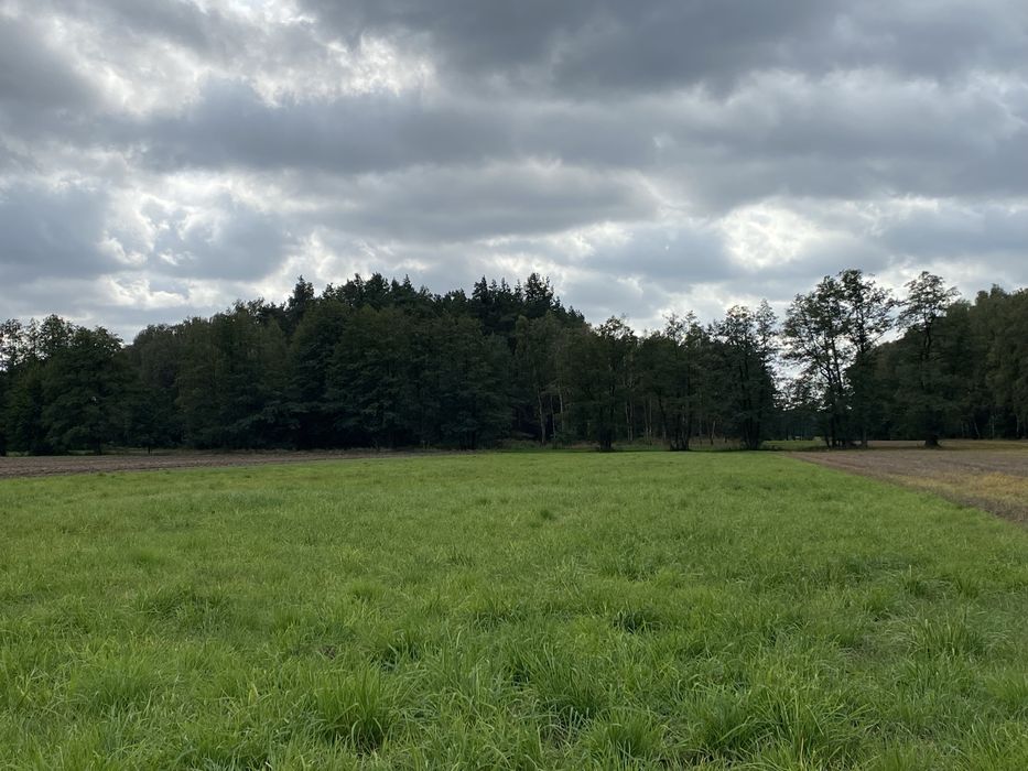 Działki z warunkami zabudowy.