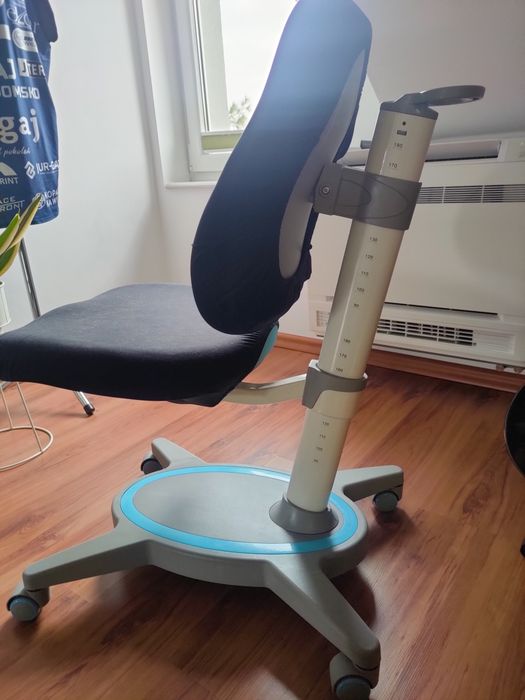 Fun Desk Fotel Ortopedyczny Dla Dziecka Z Regulacją