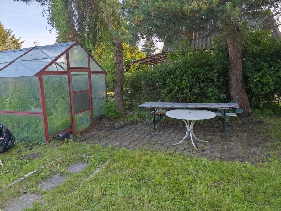 Sprzedam działkę ROD ul. Skrzydlata Elbląg 450 m² - Widok 4