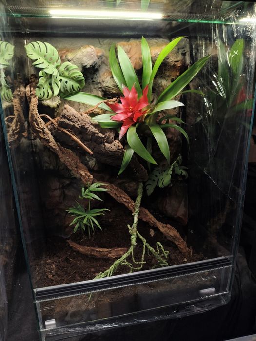 Terrarium 40x40x60 idealne dla gekona!