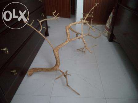 Peças decorativas em madeira de oliveira