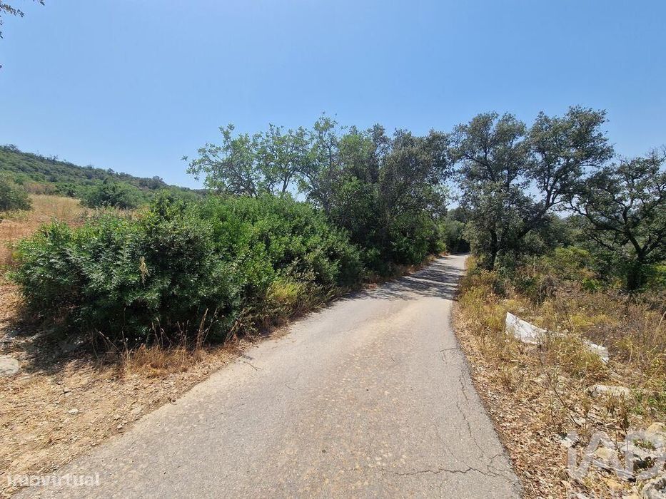 Terreno Agrícola em Santa Bárbara de Nexe