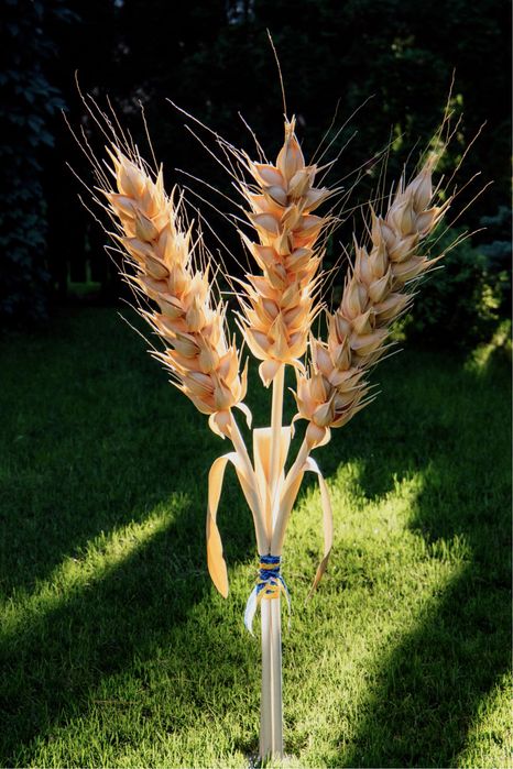 Ростові квіти