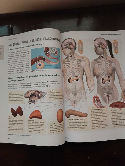 Manuais parte 1 e 2 Ciências Naturais Missão Corpo Humano 9