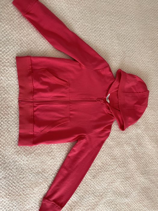 Bluza Coccodrillo- rozm.128