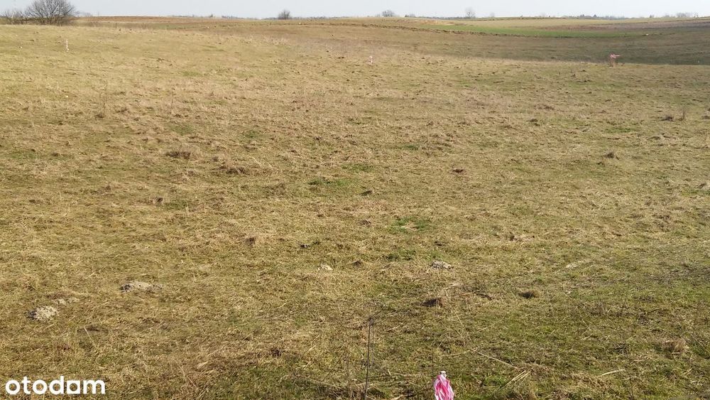 Działka budowlana, Nowe Guty, Jezioro Śniardwy - More