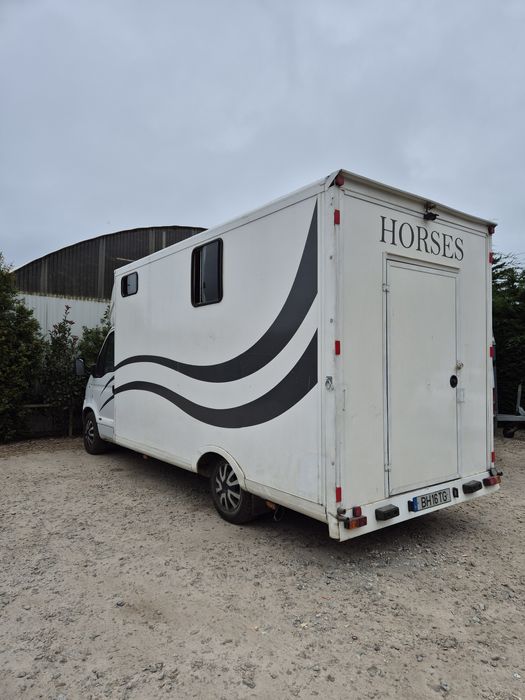 Carrinha transporte de cavalos