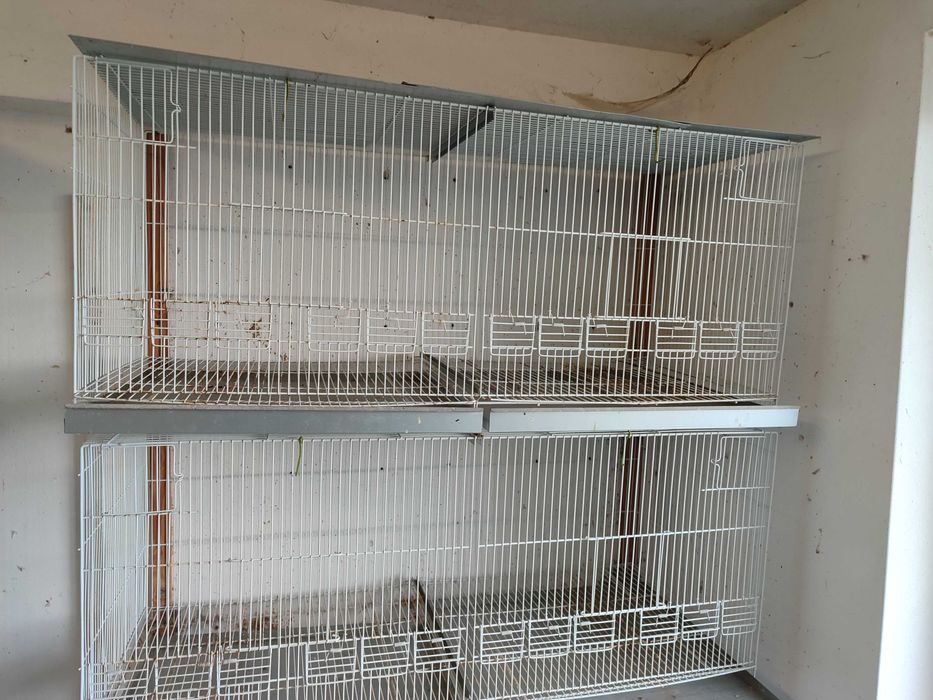 Vendo gaiolas criação aves