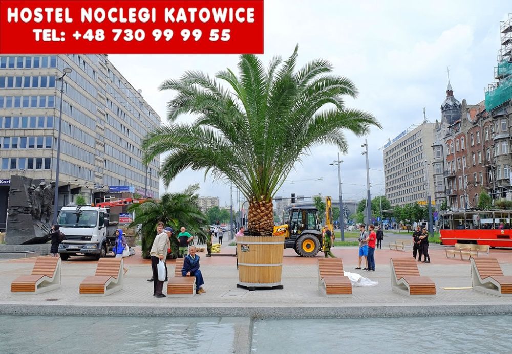 Wynajmę pokój Będzin