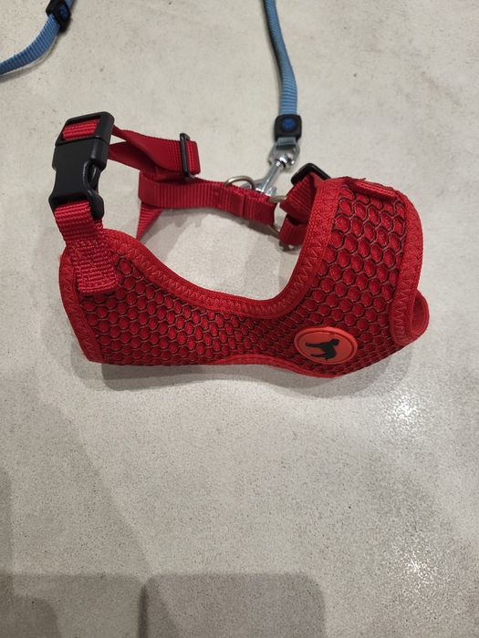 Szelki dla psa i smycz