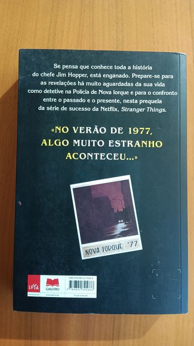 Livro Stranger Things