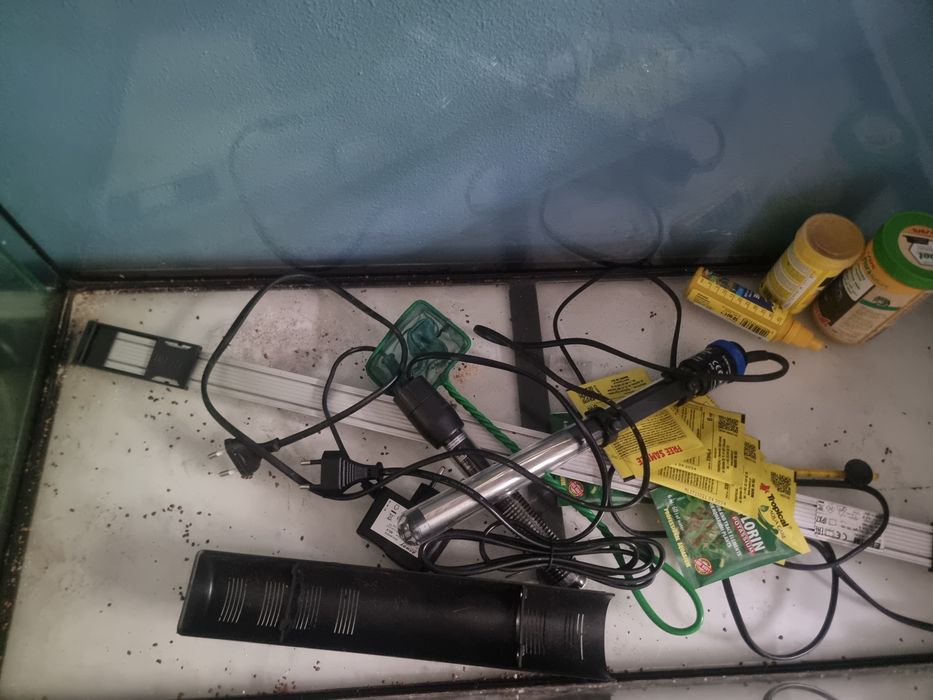 Conjunto Aquários (Principal + Maternidade) | Ideal para Criadores e Iniciantes!