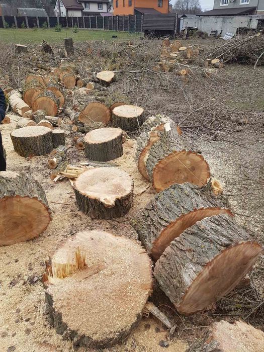 Спил аварійних дерев