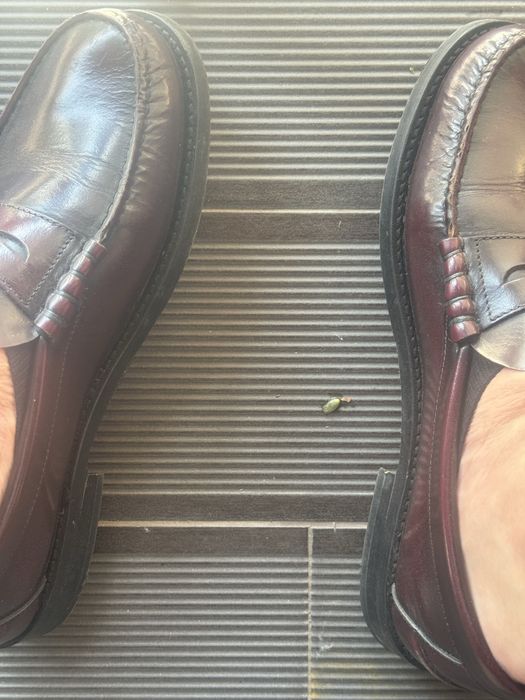 Mocassim homem bordo