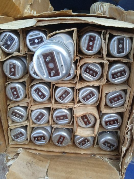 Swietlówka Jarzeniówka