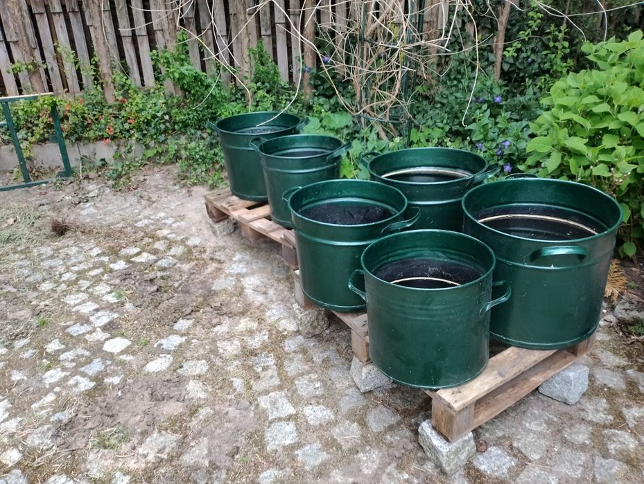 Baniaki 5 sztuk pomalowane