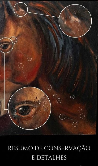 Pintura a Óleo sobre Madeira - Retrato de Cavalo (Assinado "Galma") | Peça de Acervo