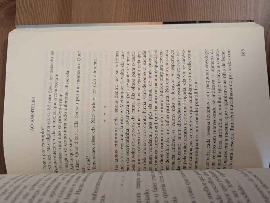 L " Ao anoitecer " Susan Minot (Optimo Estado)