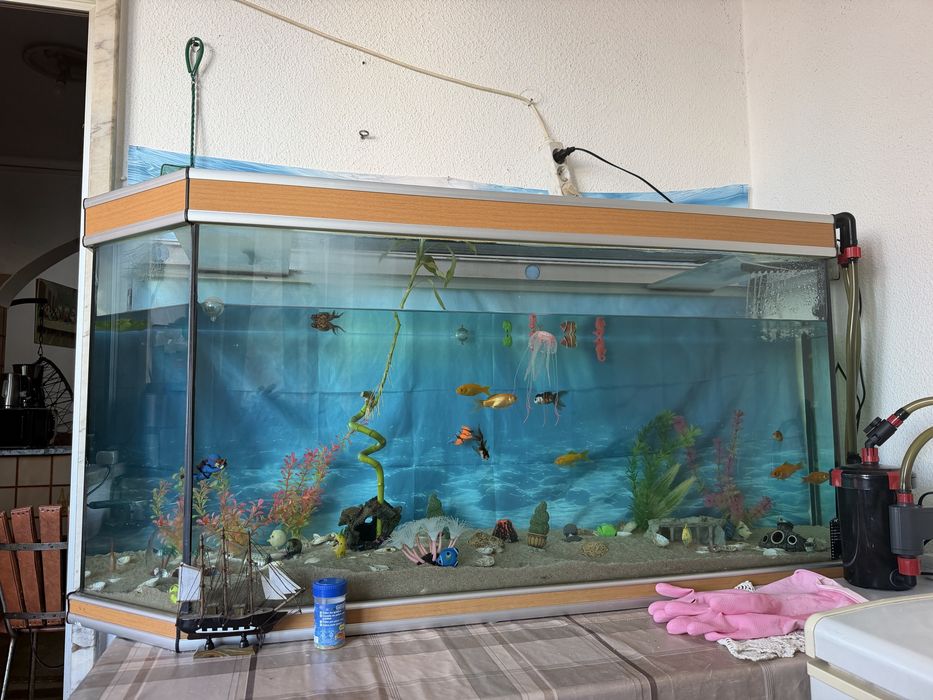 Aquario 300 L em perfeitas condiçoes