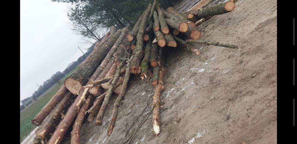 drewno opałowe opał metry mieszane lisciaste iglaste