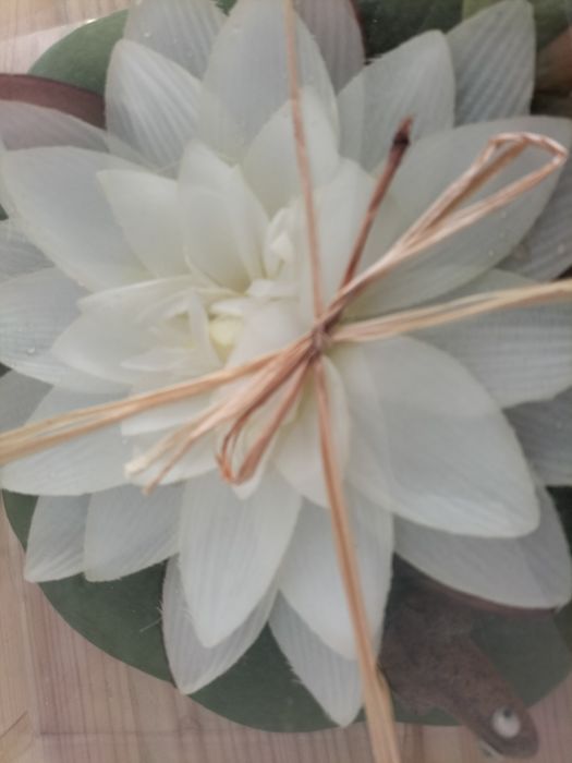 Planta artificial aquática nova