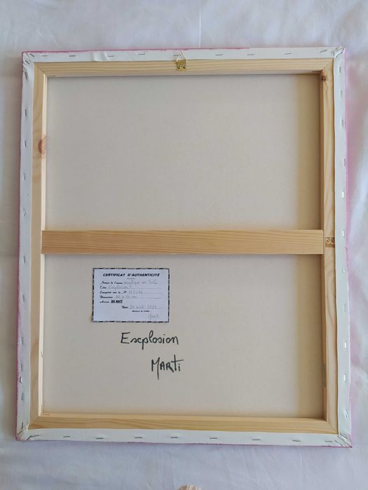 Quadro Jan Marti ( portes incluídos)
