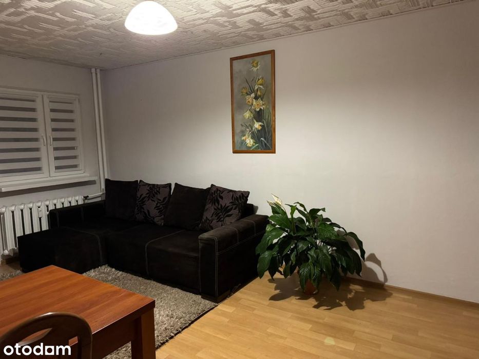 Wynajmę 2 pokoje + kuchnia | 53m2 - Os.Oświecenia