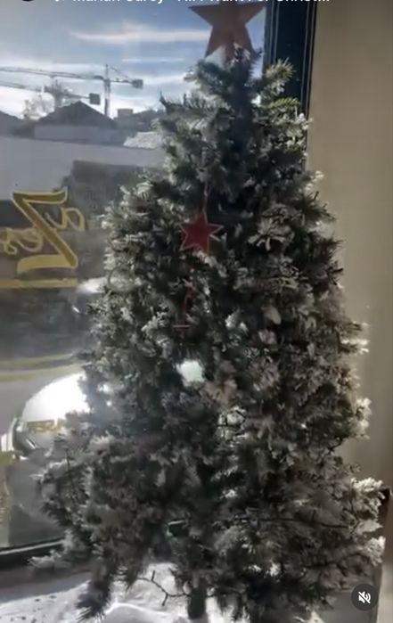 Arvore de natal