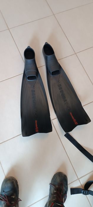 Conjunto pesca submarina