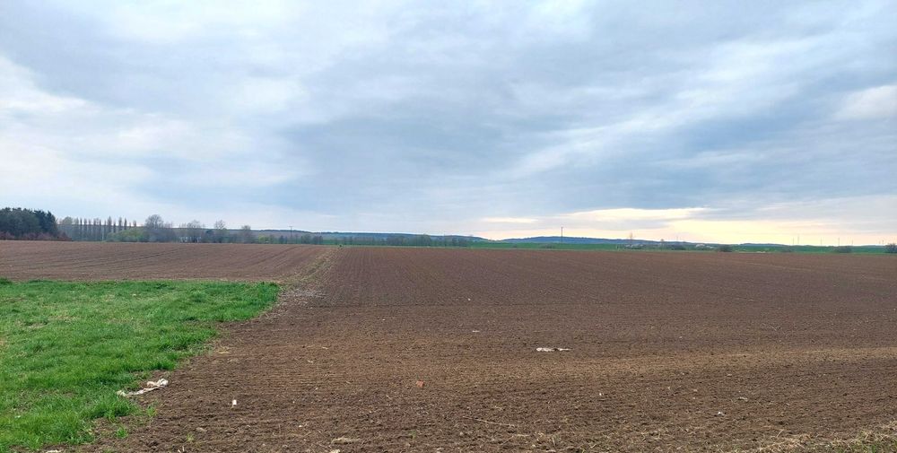 Działka budowlana 1500 m² - Widok 5