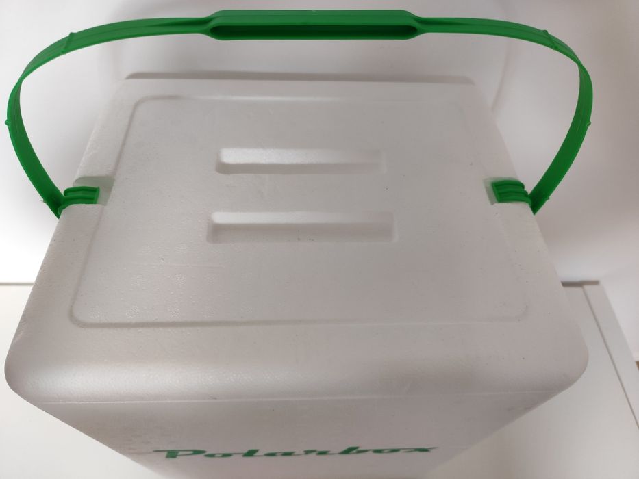 Arca geleira Polarbox esferovite