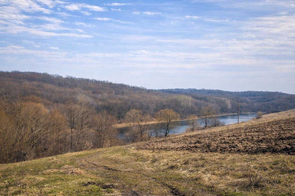 Земельна ділянка 3 га на межі з лісом — перспективна інвестиція