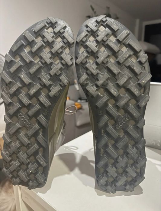 ECCO Biom 2.1 X Mountain