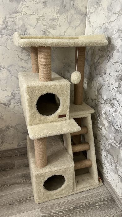 Кошачій булиночок. Когтіточка