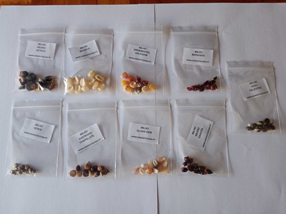 Conjunto/kit de 9 variedades de Milho (sementes)