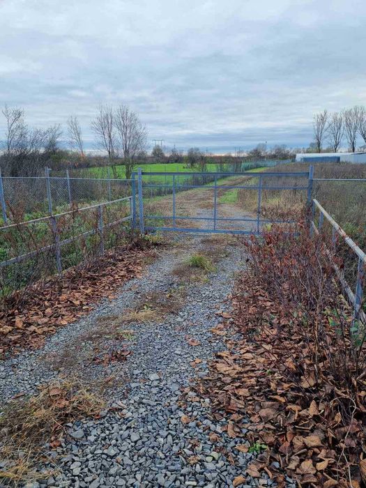 1,3 Га. Мукачево. Рівний. Траса. Є Світло, Вода Теплиці. Під любі цілі