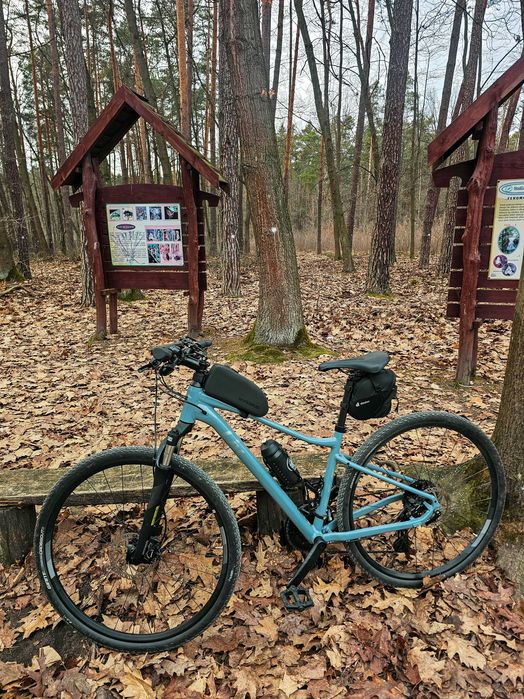 Rower trekkingowy Giant Liv Rove 2 damski