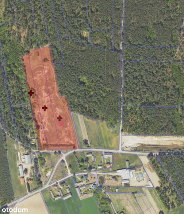 Atrakcyjna działka rolna 4,6414 ha Czarnowo Undy; gm. Kołaki Kościelne