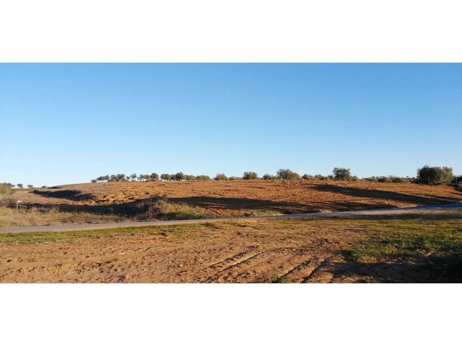 Terreno com 10000 m2 próximo da Vila de Redondo — Redondo, Évora