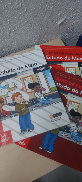Livro Fichas e Manuais Escolares 3º Ano