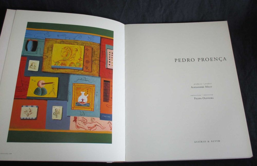 Livro Pedro Proença Assírio & Alvim
