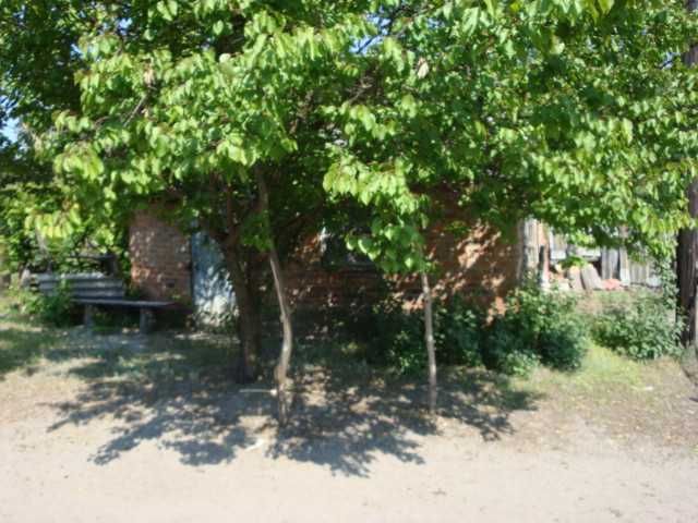 Продам квартиру на опушке соснового леса