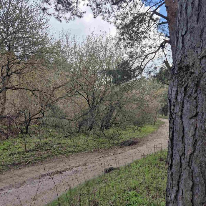 Продам земельну ділянку Лісопаркова