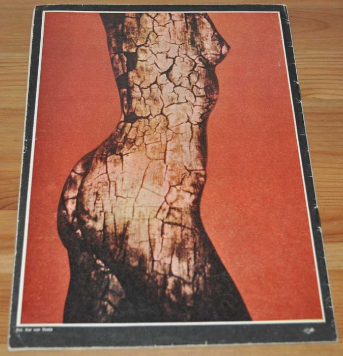 FOTO - Magazyn fotograficzny - 3 1981 - OPIS - Kraków (lub zamiana)