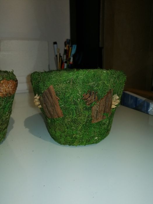 2 vasos natureza + Caixa musgo