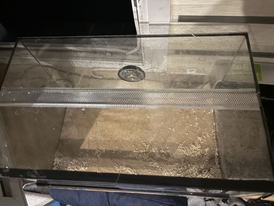 Terarium dla gekona bądz mniejszej zborzówki
