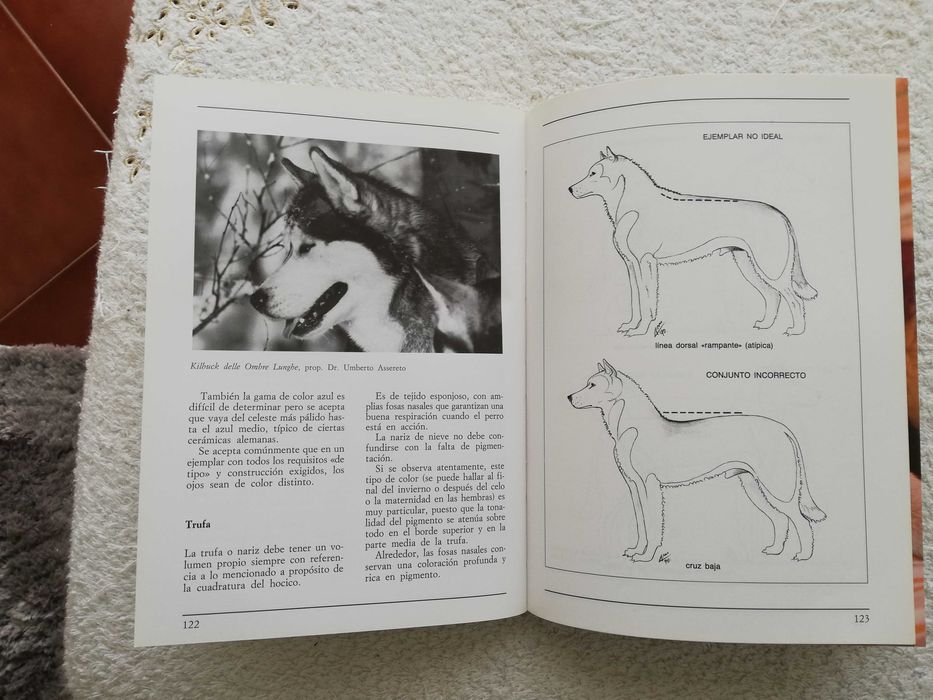 Livro do  Husky Siberiano