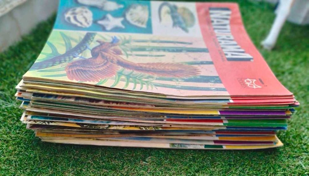 62 Fascículos da " Naturama: Enciclopédia do Mundo Animal" - anos 60