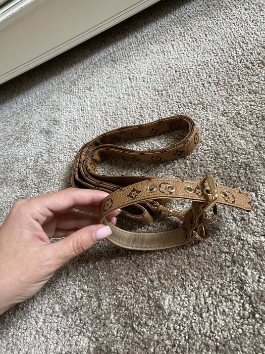 Ошейник с поводком новый