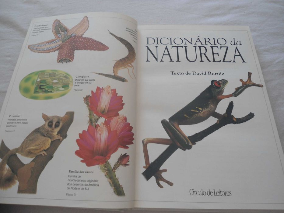 Dicionário Escolar da Natureza por David Burnie